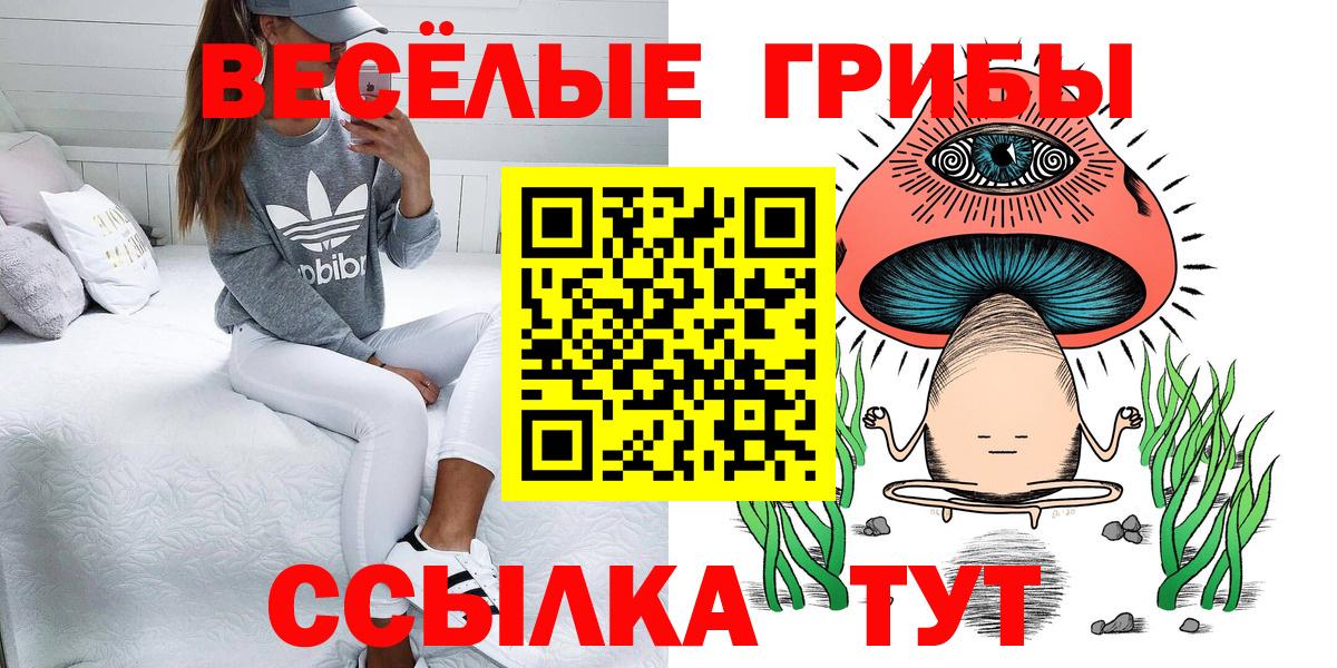 Псилоцибиновые грибы мицелий  Псилоцибиновые грибы GOLDEN TEACHER  Вход с VPN  Евпатория 