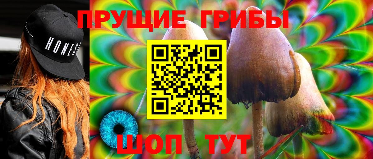 Псилоцибиновые грибы GOLDEN TEACHER Евпатория