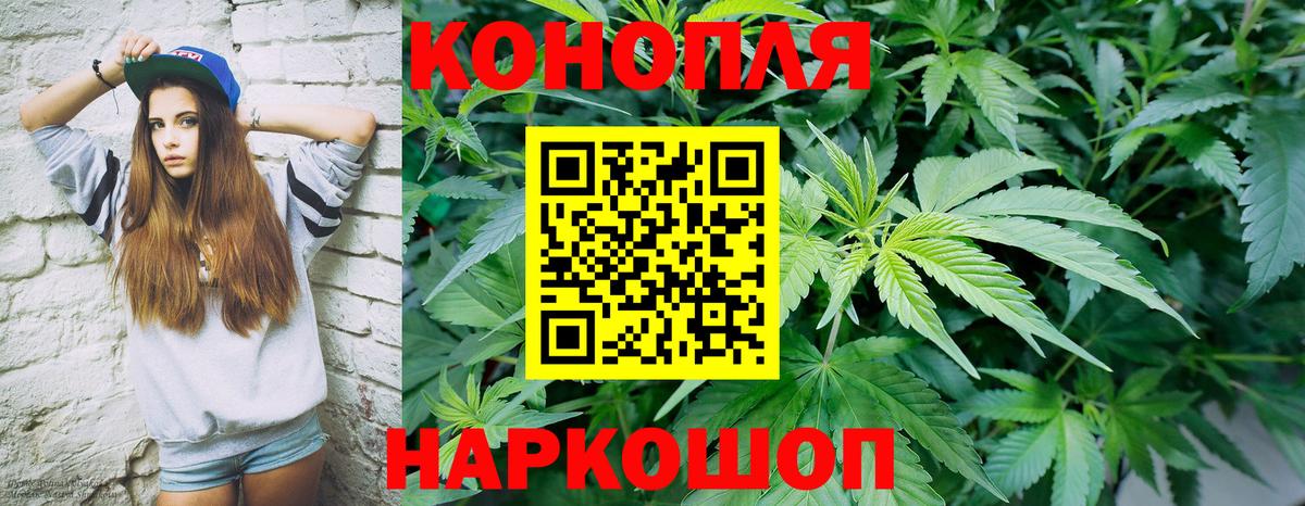 Бошки Шишки семена  Конопля Amnesia  Бошки Шишки конопля  Евпатория  Конопля семена  Вход с VPN 